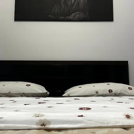 Scc2 Apartmán Kluž